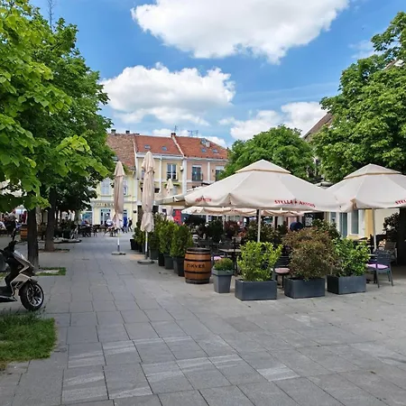 The Belfort Townhomes - Lux Loft 贝尔格莱德